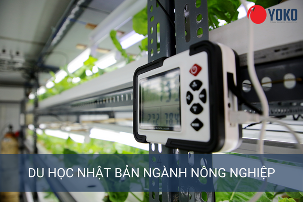 Du học Nhật Bản ngành Nông nghiệp