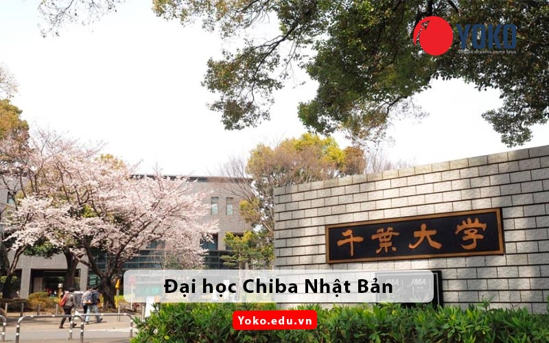dai-hoc-chiba-nhat-ban