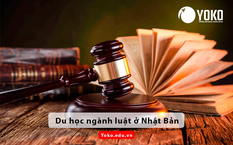 du-hoc-nganh-luat-o-nhat-ban