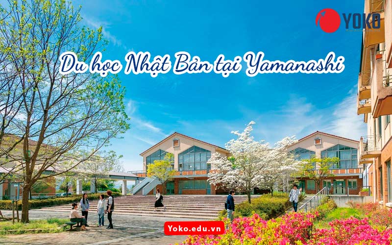du-hoc-nhat-ban-tai-Yamanashi