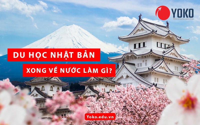 du-hoc-nhat-ban-xong-ve-nuoc-lam-gi