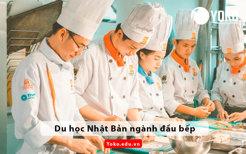 du-hoc-nhat-nen-chon-nganh-gi-dau-bep