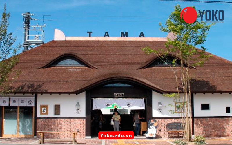 ga-tau-tama-tai-nhat-ban