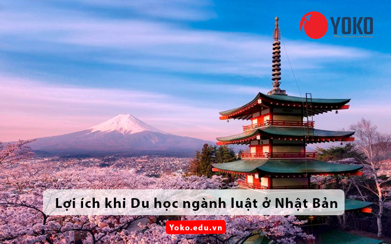 loi-ich-du-hoc-nganh-luat-o-nhat-ban