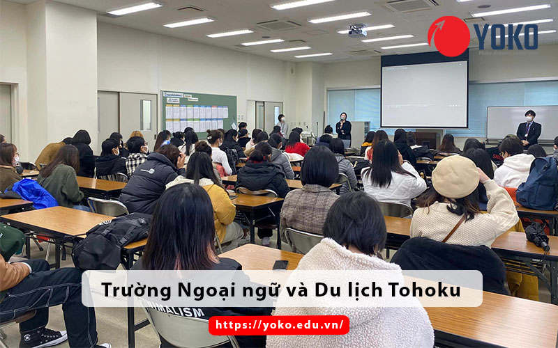 phong-hoc-truong-ngoai-ngu-va-du-lich-tohoku