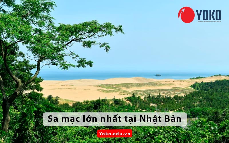 sa-mac-lon-nhat-tai-nhat-ban