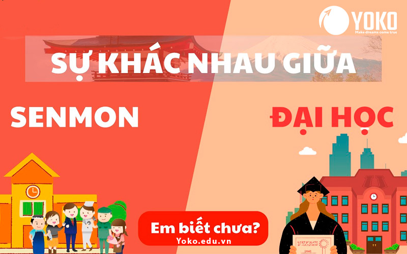su-khac-nhau-giua-senmon-va-dai-hoc