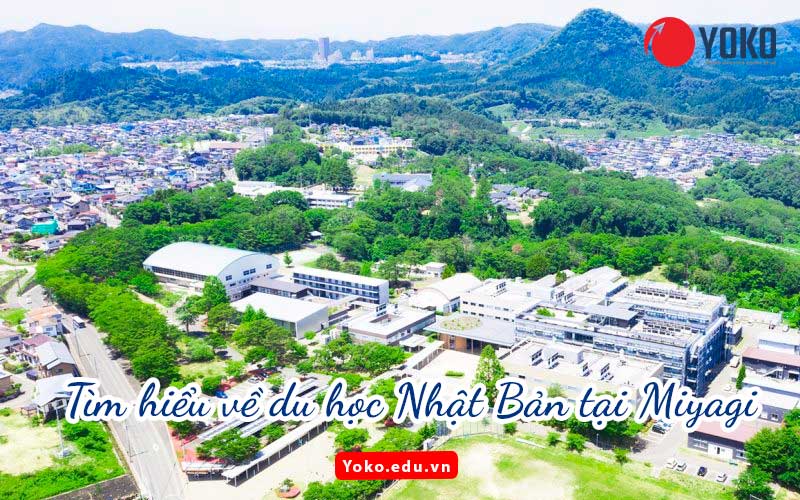 tim-hieu-ve-du-hoc-nhat-ban-tai-Miyagi