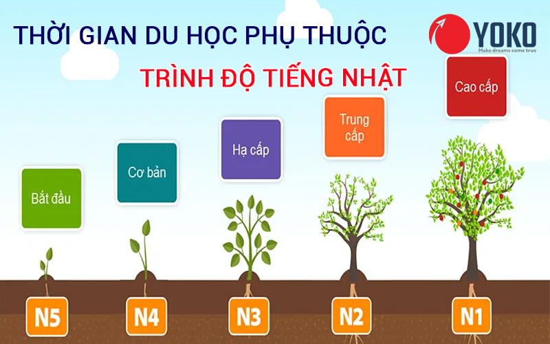 Thời gian du học Nhật Bản - phụ thuộc vào trình độ tiếng Nhật