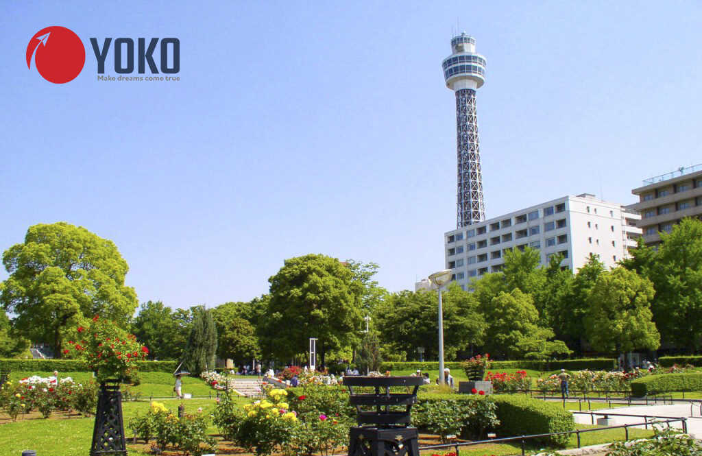 truong-nhat-ngu-sakura-Yokohama