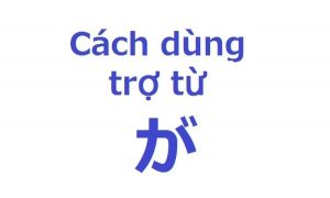 Cách Sử Sụng Trợ Từ Trong Tiếng Nhật 1
