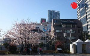 Giới thiệu trường Nhật ngữ Edo ở Tokyo
