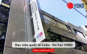 hoc-vien-quoc-te-codo