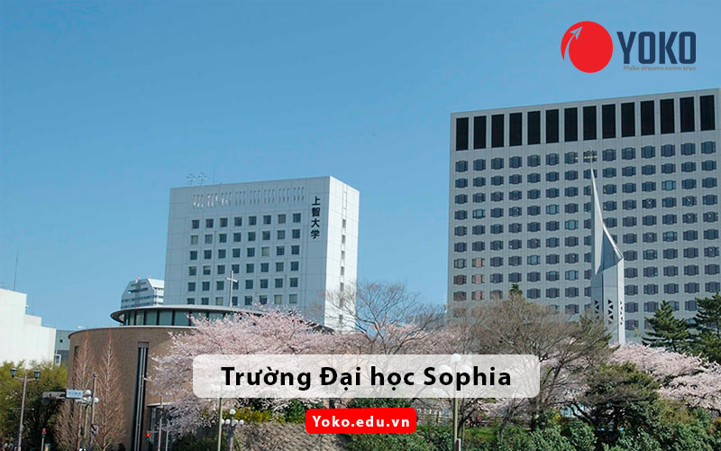 truong-dai-hoc-sophia