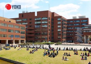 Làm thế nào để vào được trường đại học Nhật Bản?