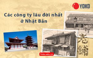 cac-cong-ty-lau-doi-nhat-nhat-ban