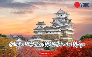 co-nen-di-du-hoc-nhat-ban-tai-Hyogo