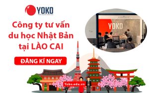 cong-ty-tu-van-du-hoc-nhat-ban-tai-lao-cai