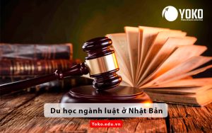 du-hoc-nganh-luat-o-nhat-ban