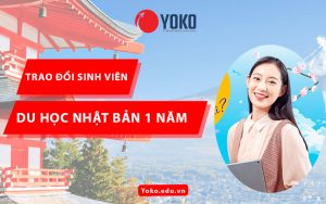 du-hoc-nhat-ban-1-nam