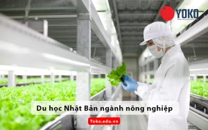 du-hoc-nhat-ban-nganh-nong-nghiep