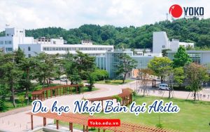 du-hoc-nhat-ban-tai-Akita