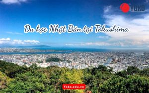 du-hoc-nhat-ban-tai-Tokushima
