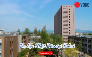 du-hoc-nhat-ban-tai-fukui