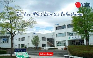 du-hoc-nhat-ban-tai-fukushima