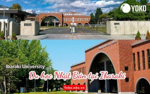 du-hoc-nhat-ban-tai-ibaraki