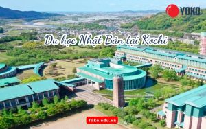 du-hoc-nhat-ban-tai-kochi