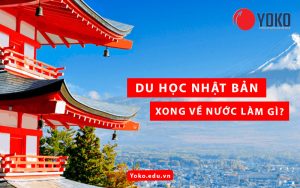 du-hoc-nhat-ban-xong-ve-nuoc-lam-gi