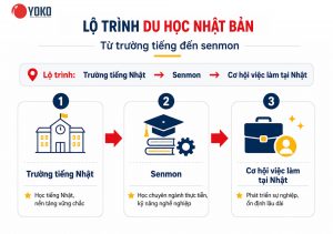 Du học Nhật Bản mất mấy năm? Lộ trình học từ trường tiếng đến đại học, senmon