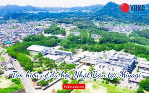 tim-hieu-ve-du-hoc-nhat-ban-tai-Miyagi