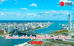 tim-hieu-ve-du-hoc-nhat-ban-tai-niigata