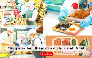 top-10-cong-viec-lam-them-cho-du-hoc-sinh-nhat-ban