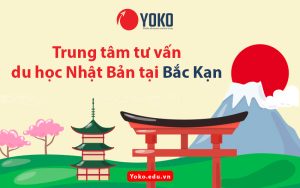 trung-tam-tu-van-du-hoc-nhat-ban-tai-bac-kan