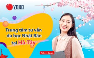 trung-tam-tu-van-du-hoc-nhat-ban-tai-ha-tay