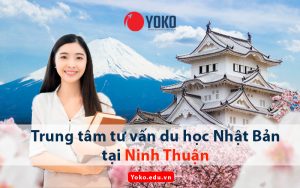 trung-tam-tu-van-du-hoc-nhat-ban-tai-ninh-thuan