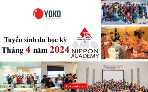 truong-nhat-ngu-nippon-academy