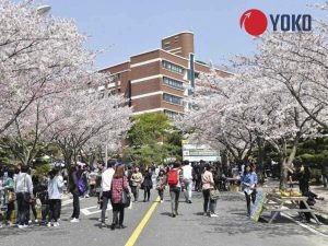 truong-nhat-ngu-o-saitama-urawa