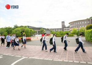 3 cách học Thạc sĩ tại Nhật cho sinh viên tốt nghiệp Đại học Việt Nam
