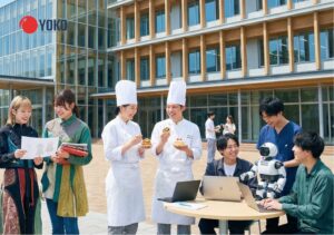 Cẩm nang toàn diện về du học Nhật Bản Senmon: Các khoa, học phí và điều kiện xét tuyển (mới nhất 2026)