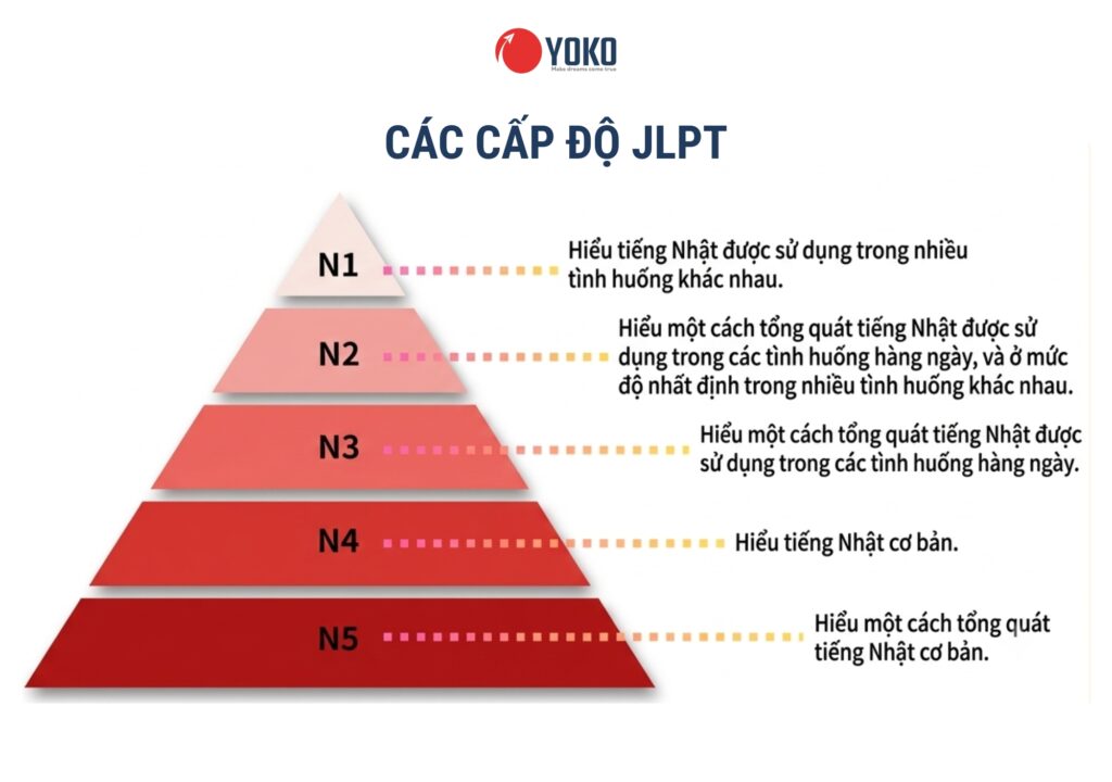 5 cấp độ tiếng Nhật trong JLPT: từ N5 đến N1